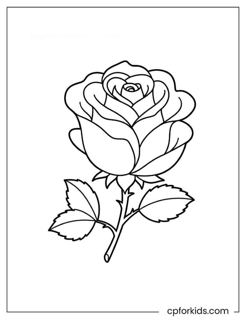 Beautiful Rose coloring pages, classic printable flower sheet.