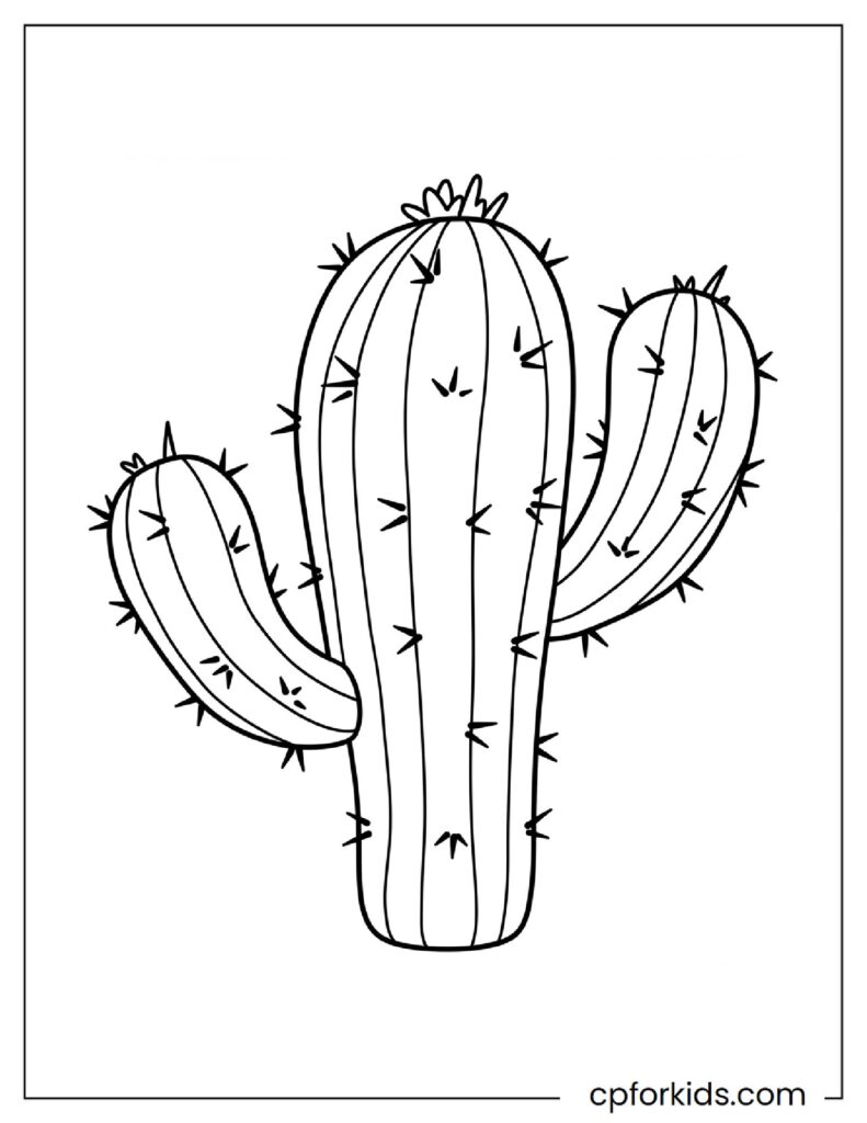 Cactus close up in cartoon style, cute flower coloring page.