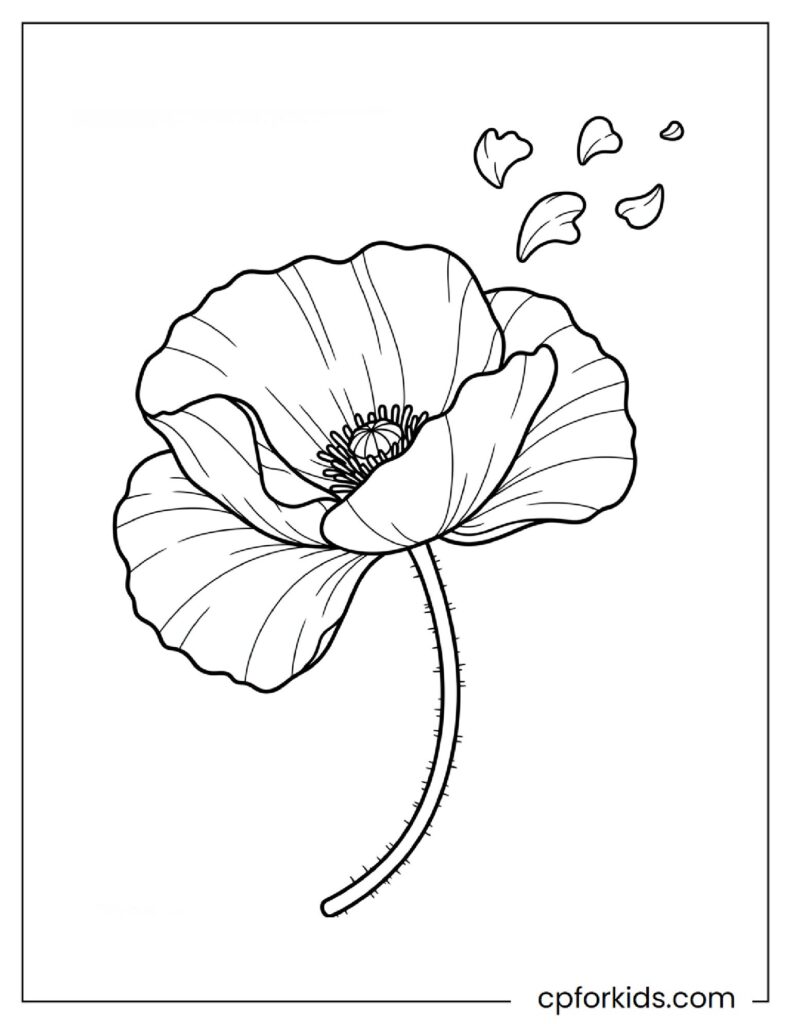 Poppy flower with petals blowing in the wind, nature coloring page.