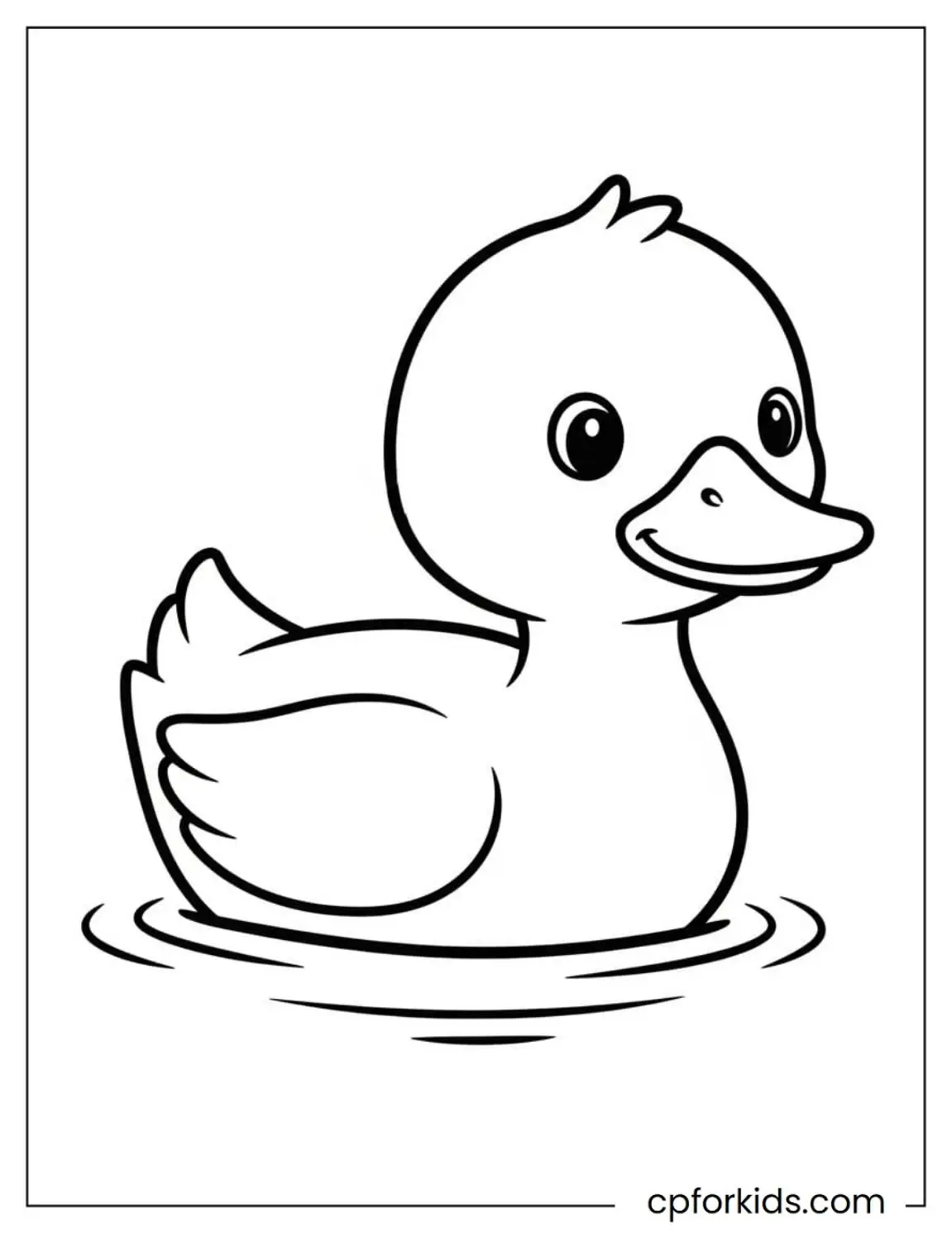 Duck floating on water