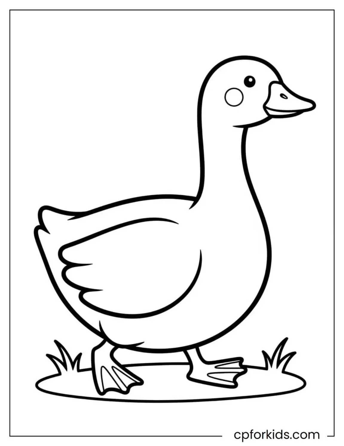 Goose walking on grass