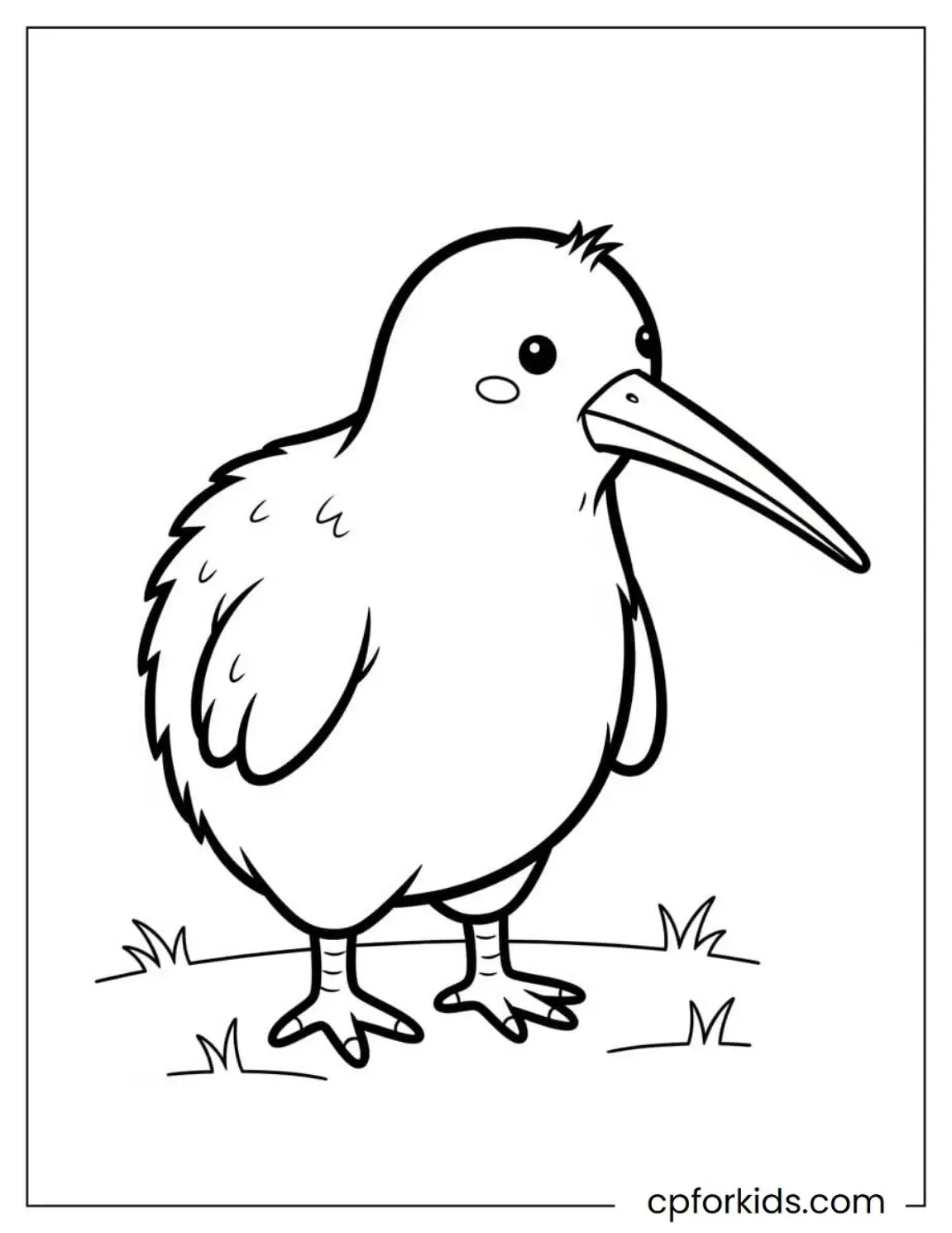 Kiwi bird standing on grass