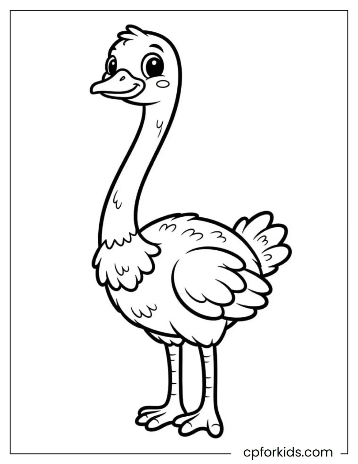 Young ostrich standing with a long neck