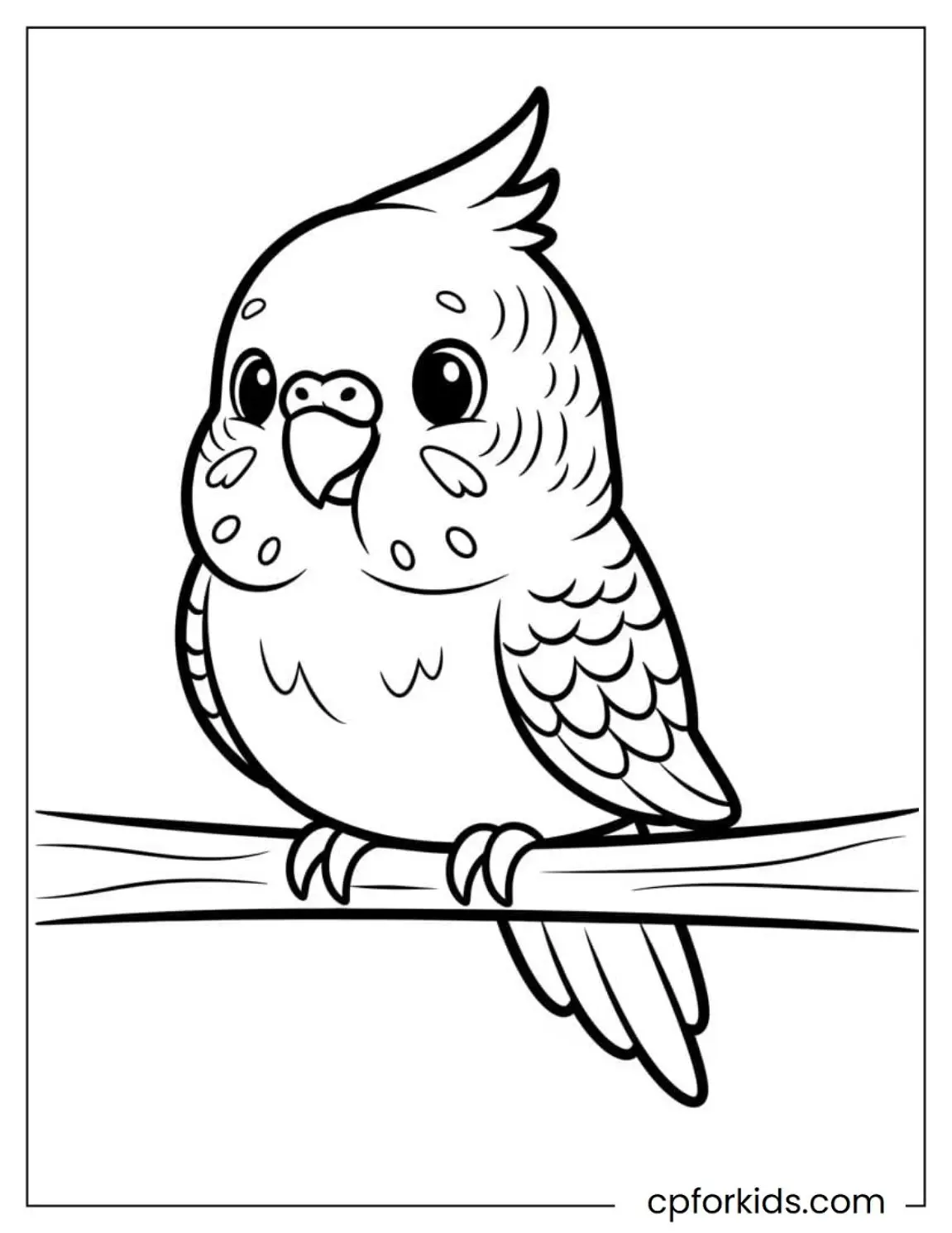 Parakeet perched on a branch