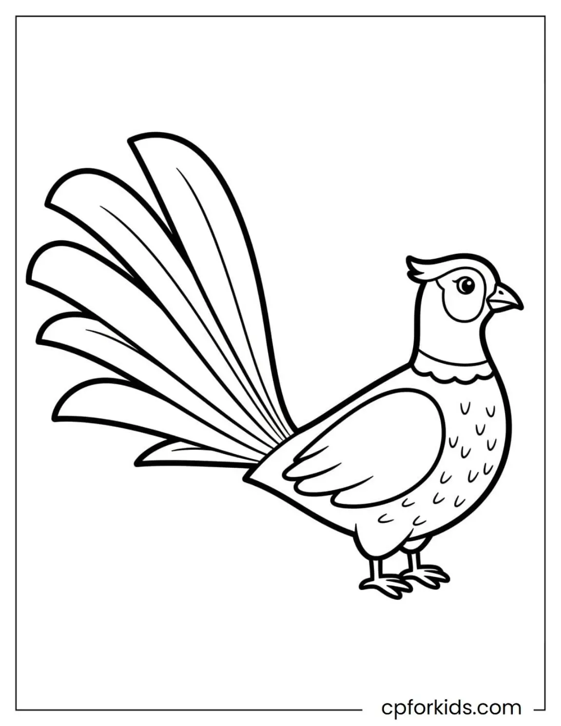 Pheasant standing with its tail feathers fanned out