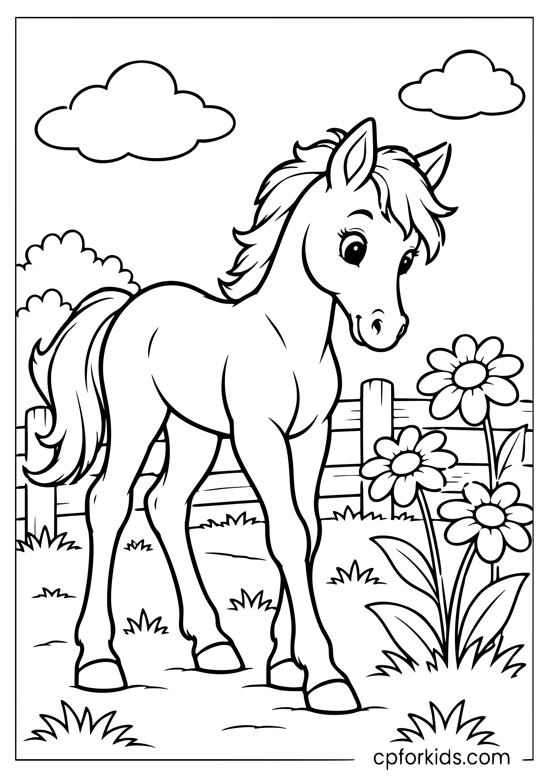 Young foal standing beside daisies and fence