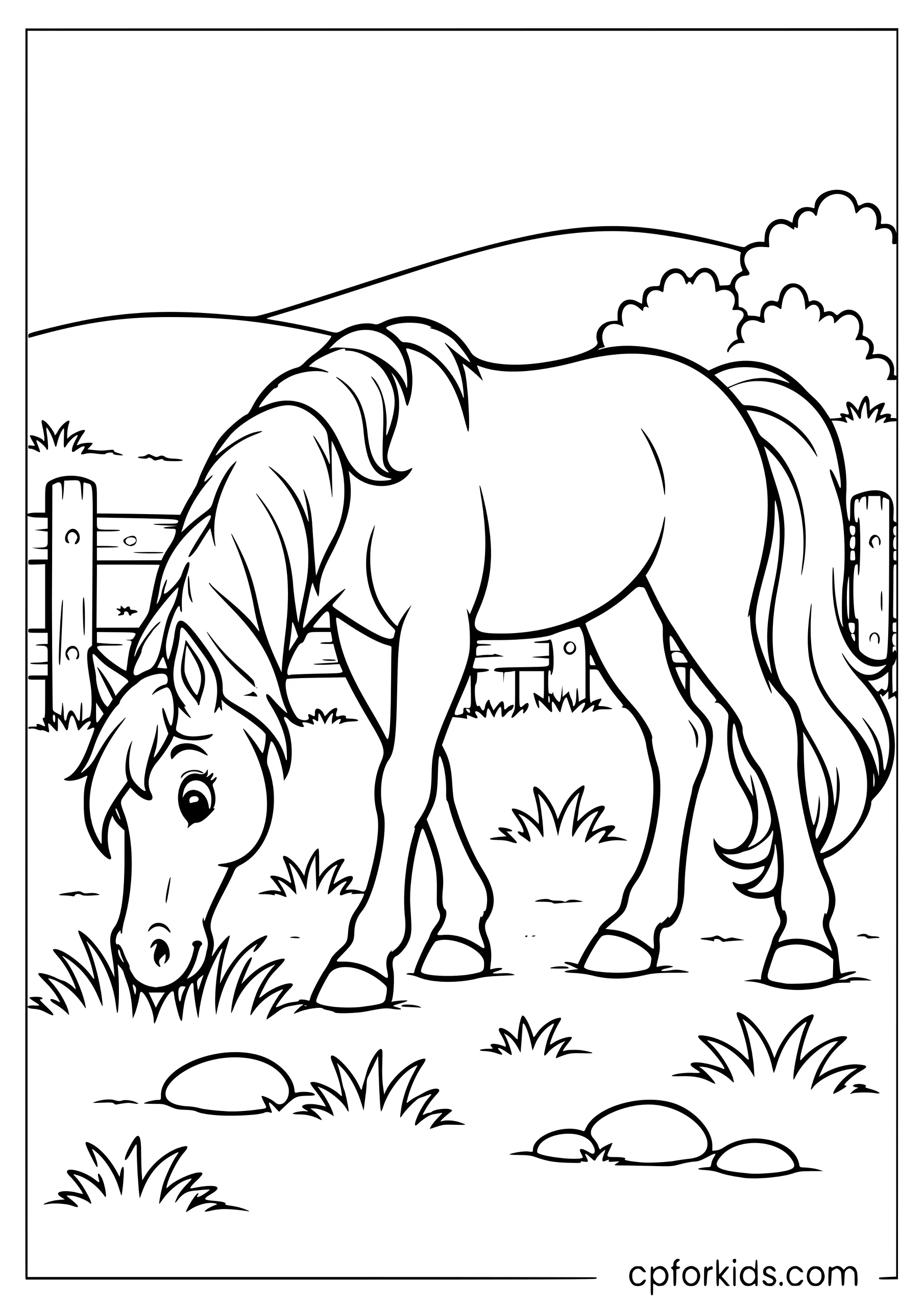 Horse grazing beside fence and broad grass