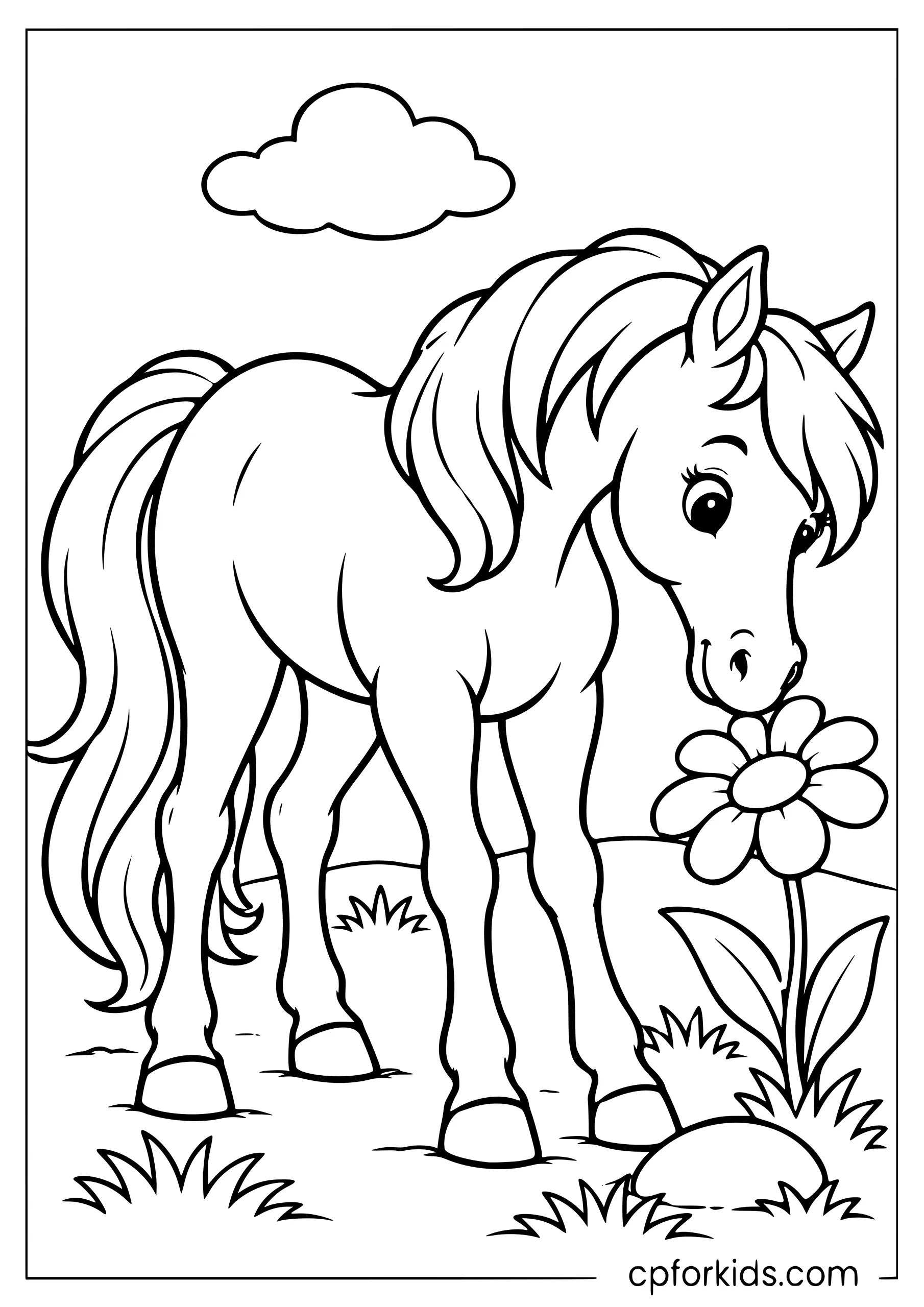 Horse lowering nose toward one large daisy