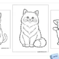 Cat coloring pages featuring a Siamese cat, a fluffy kitten, and a playful mischievous cat.