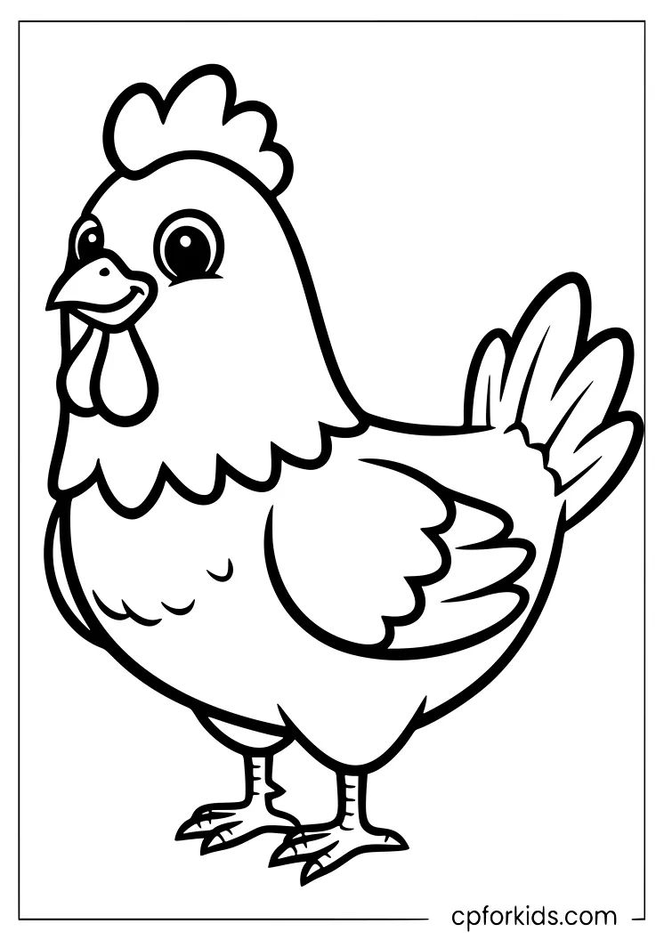Simple farm chicken coloring sheet with clean line art