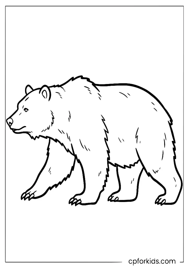Grizzly bear coloring page with bold outlines