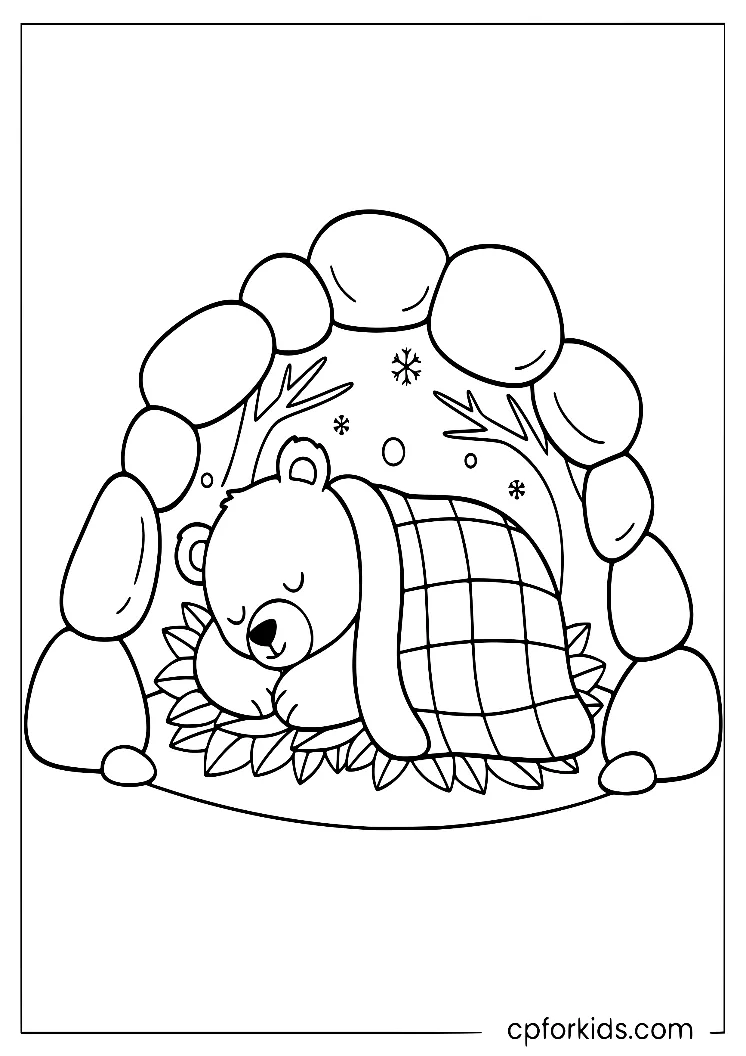 Bear sleeping curled up in a winter den