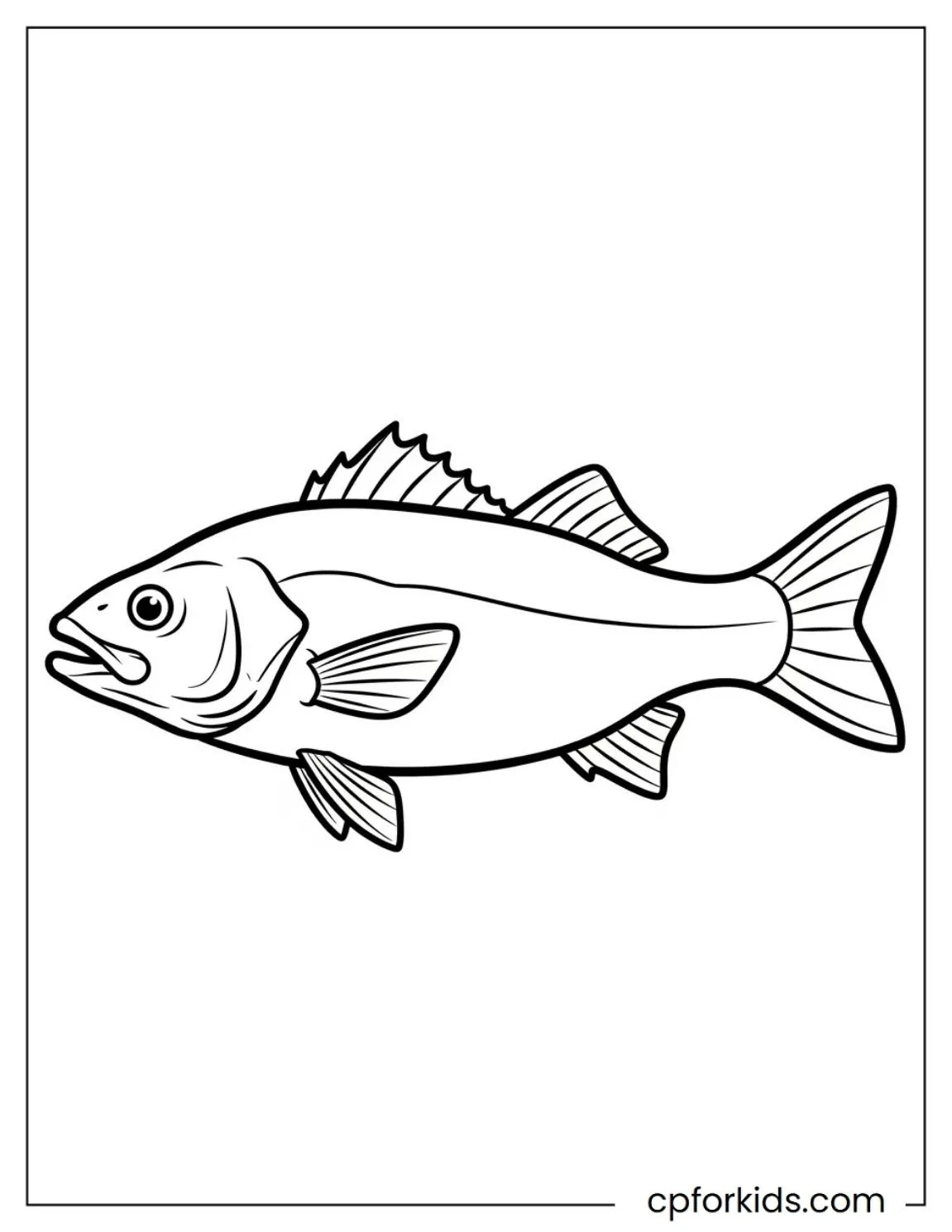 Sea bass with natural body and fin details