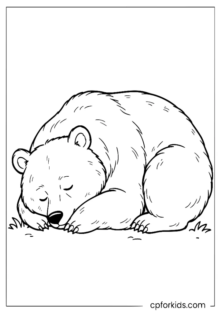 Cozy hibernating bear in its winter den, serene coloring design.