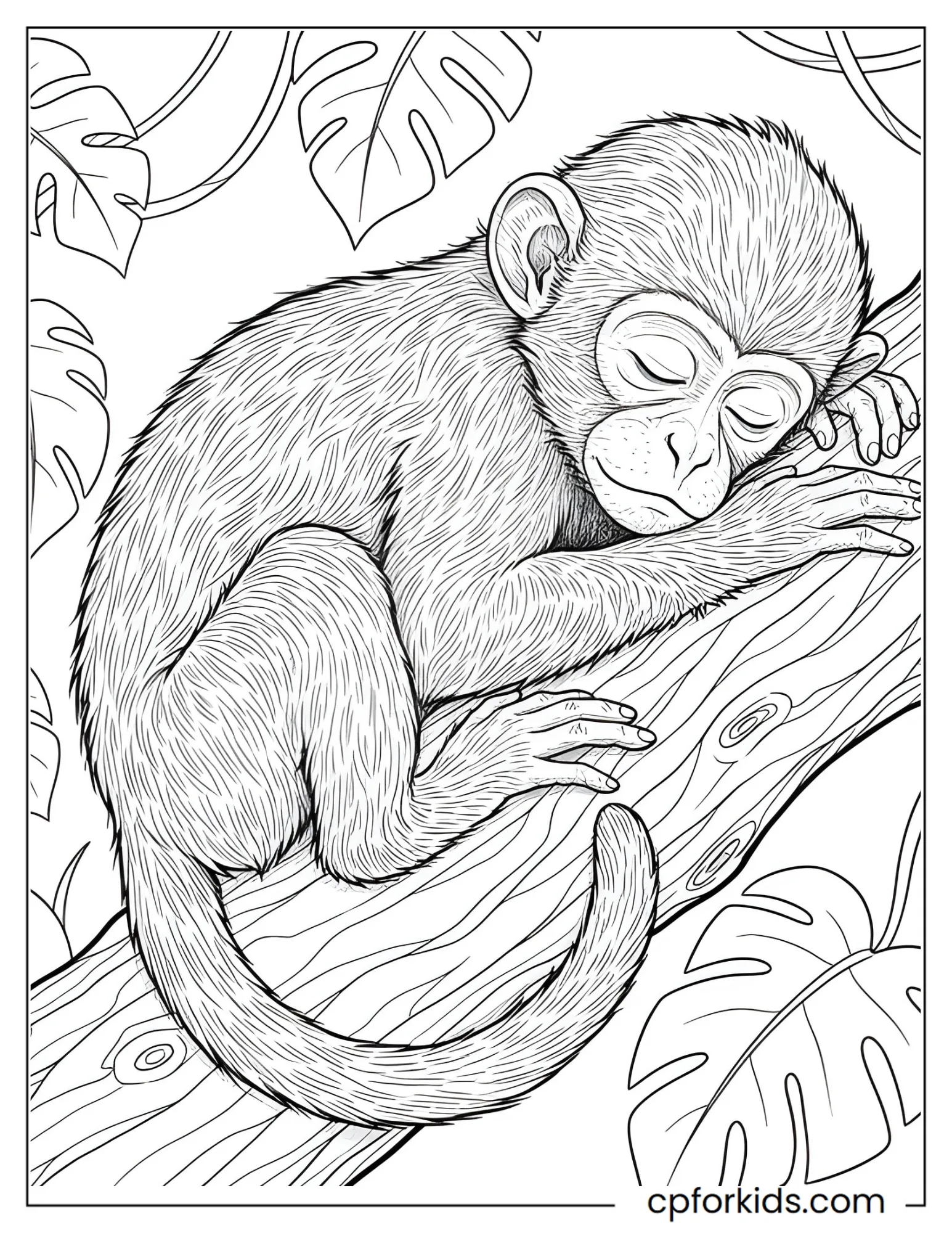 Baby monkey sleeping along a broad tree branch