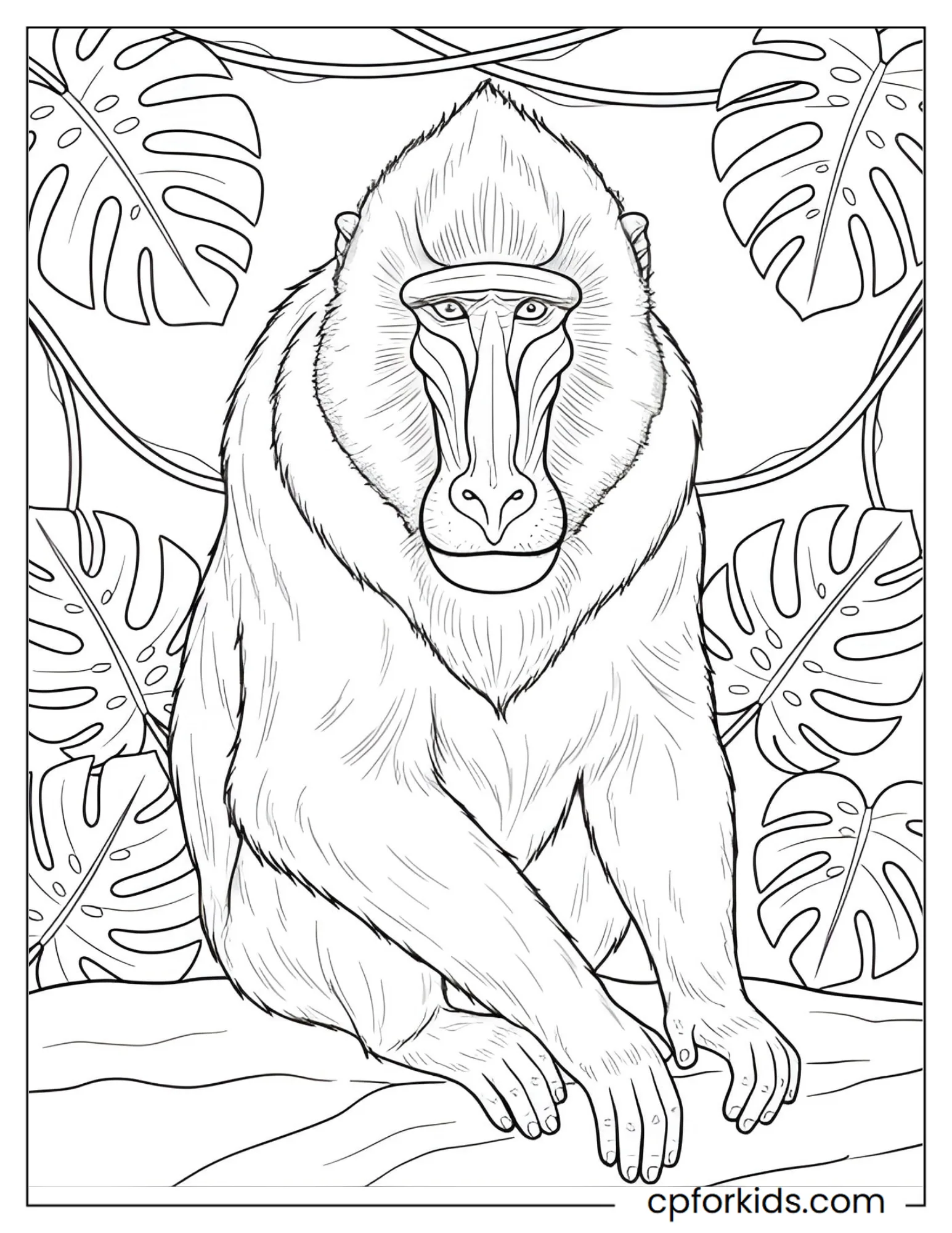 Mandrill portrait showing muzzle and raised facial ridges