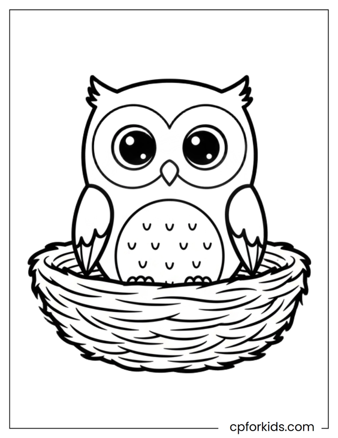 Baby owl sitting in a tree nest