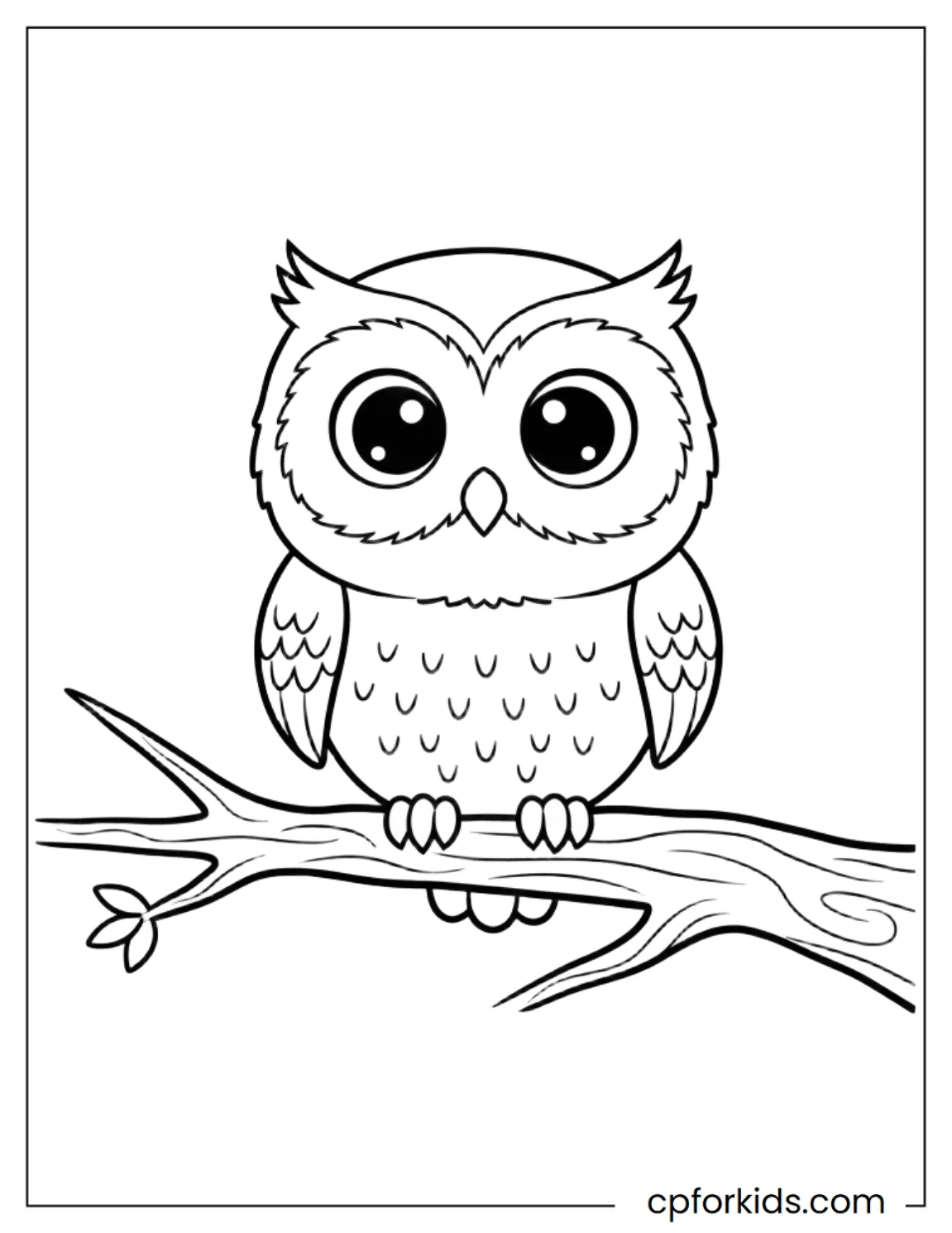 Baby owl with big eyes smiling