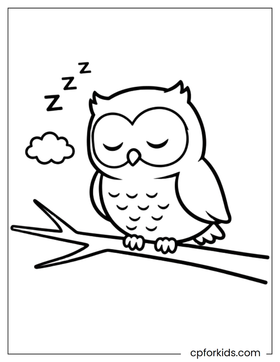 Baby owl sleeping on a branch