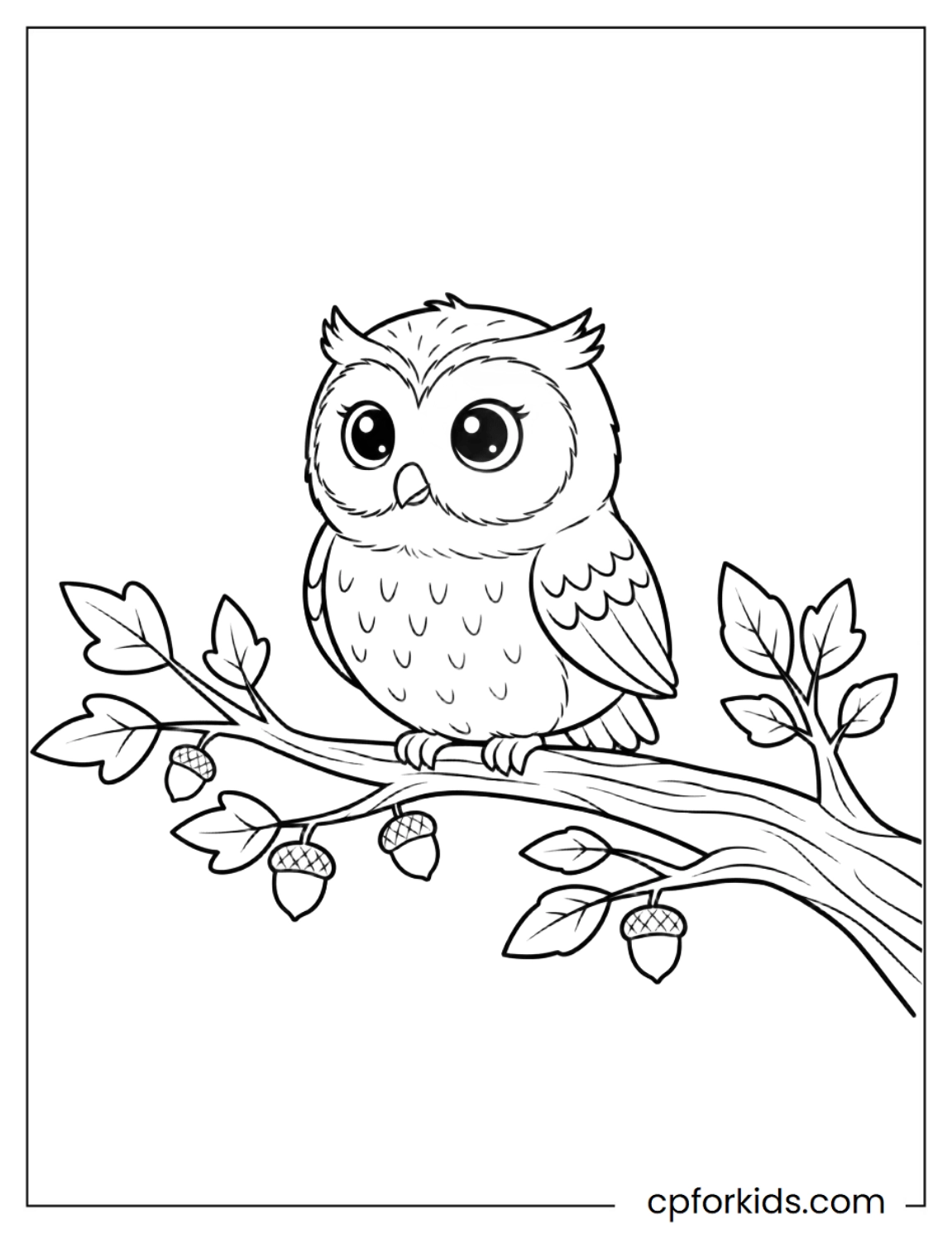 Round owl perched on a tree branch