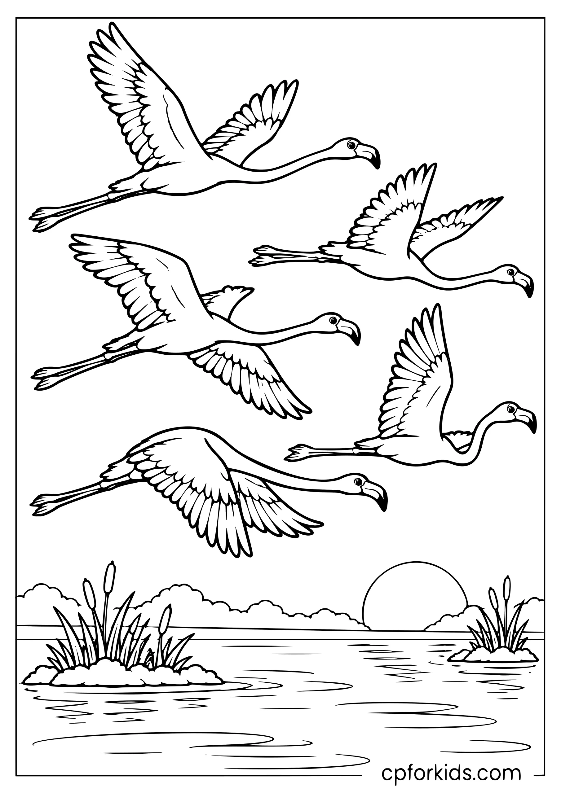 Five flamingos flying together over a lagoon