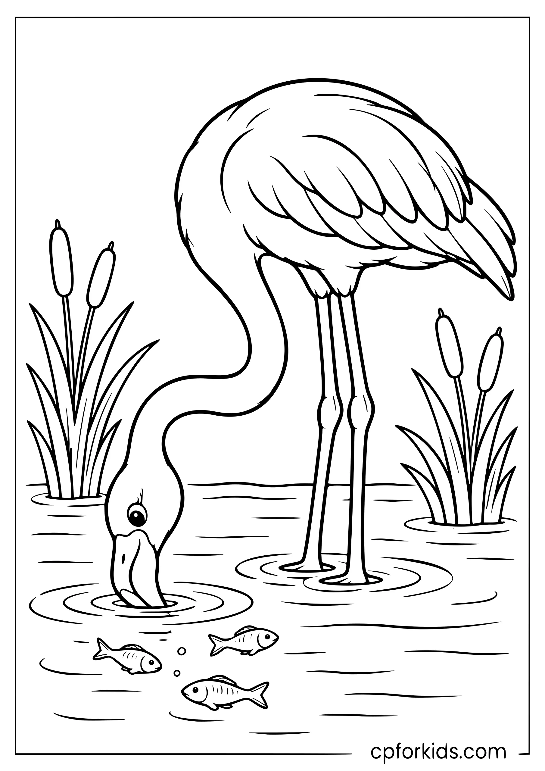 Flamingo feeding upside down near three small fish