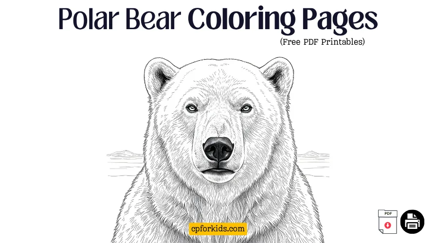 Polar Bear Coloring Pages