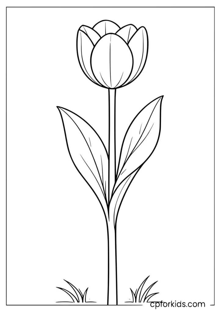 Classic spring tulip with a straight stem outline