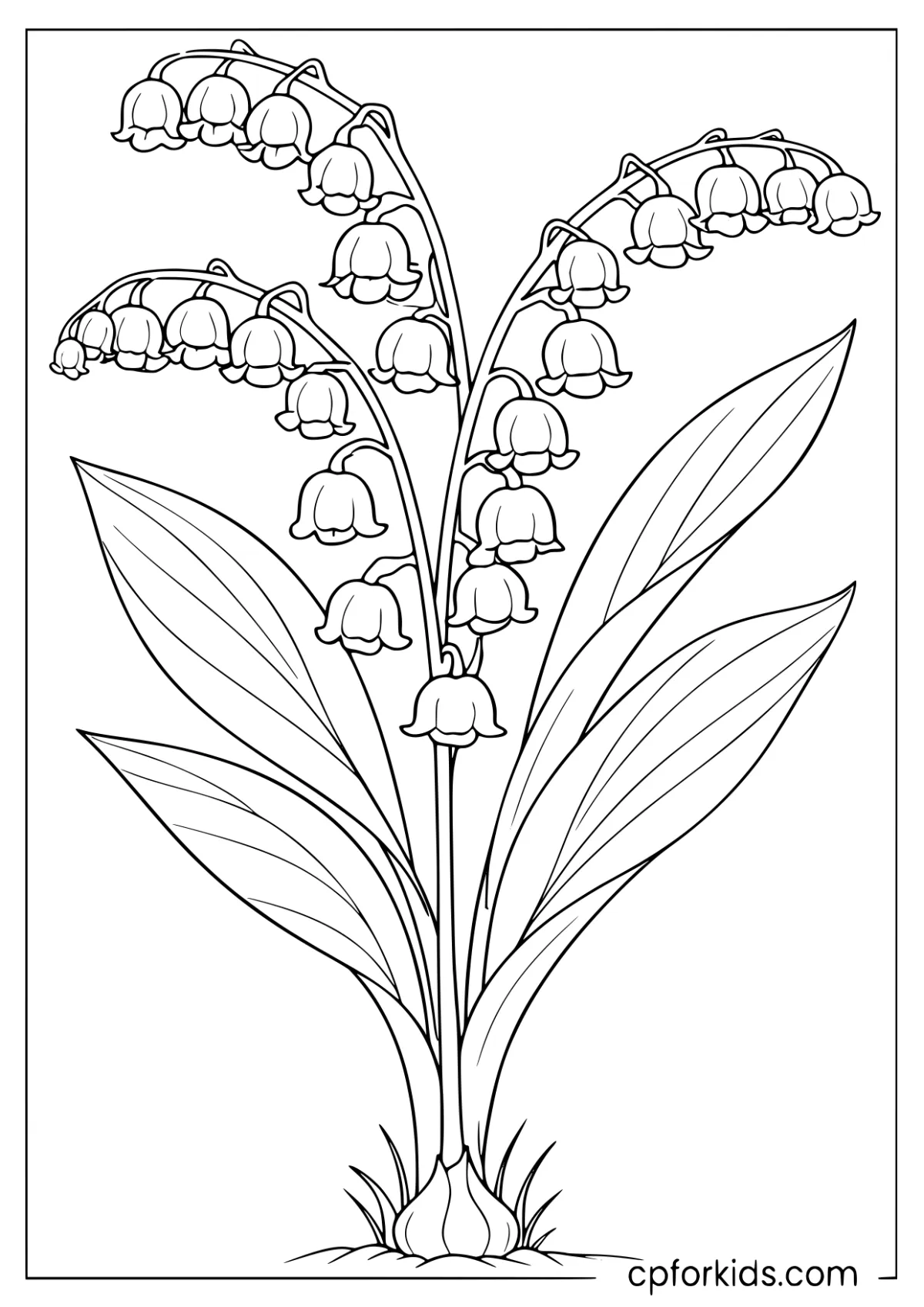 Bell-shaped flowers on arching stems