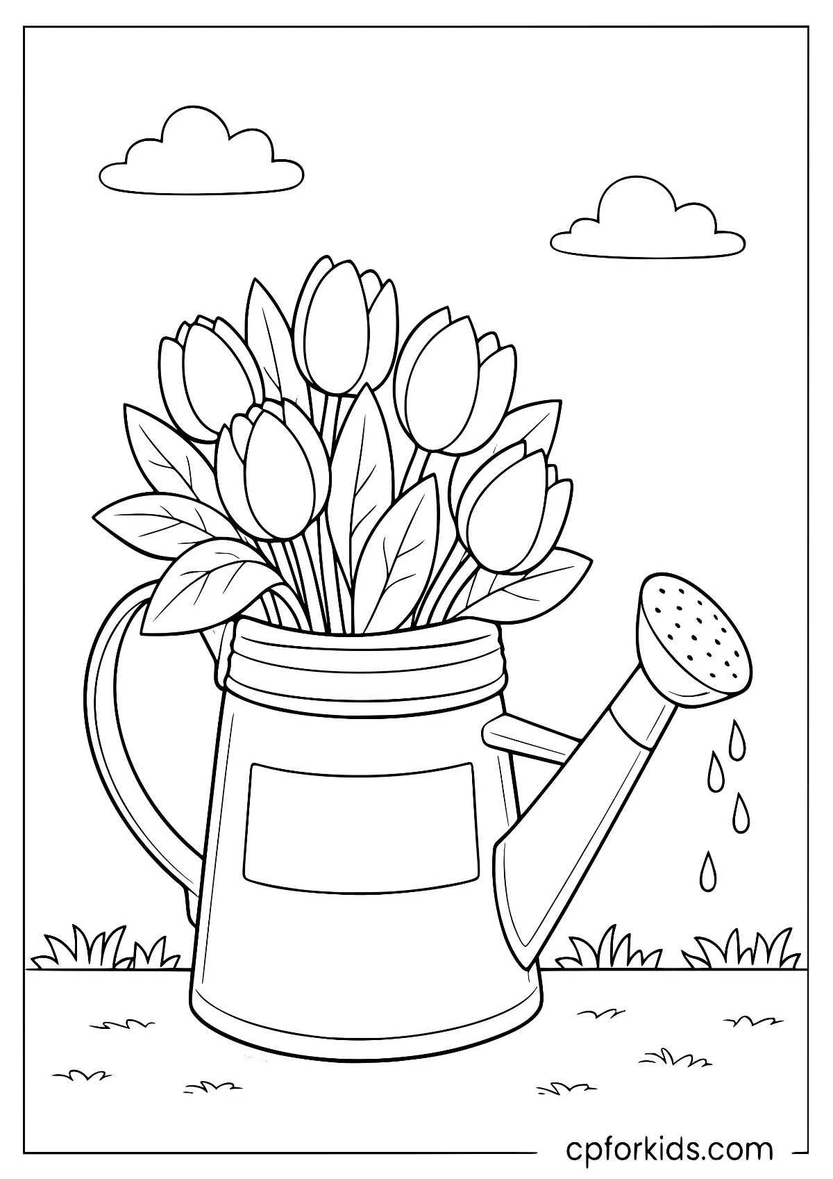 Tulips in a watering can with droplets