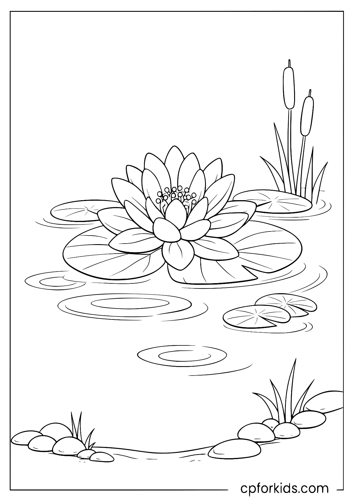 Water lily floating among pads and reeds