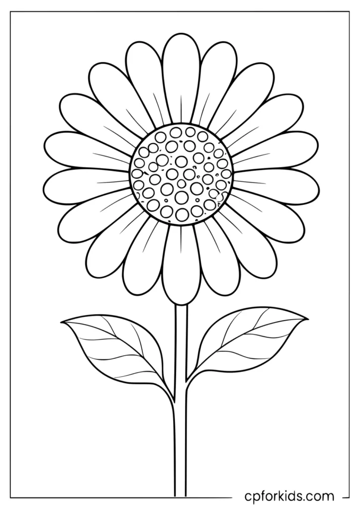 Simple daisy bloom with bright petals for kids