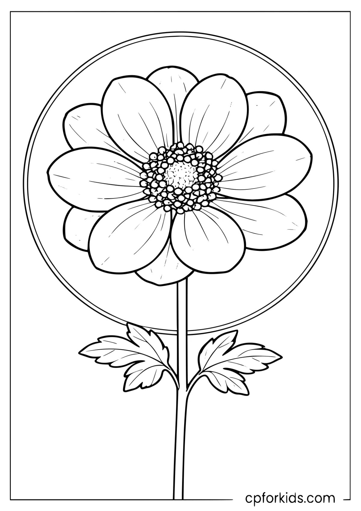 Single anemone blossom with leaves and a circular outline