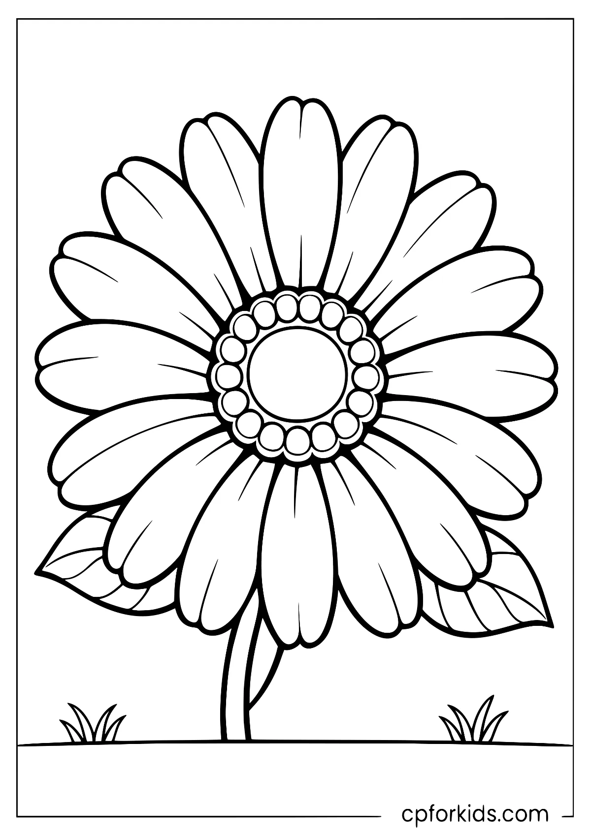 Large layered flower head above a short stem
