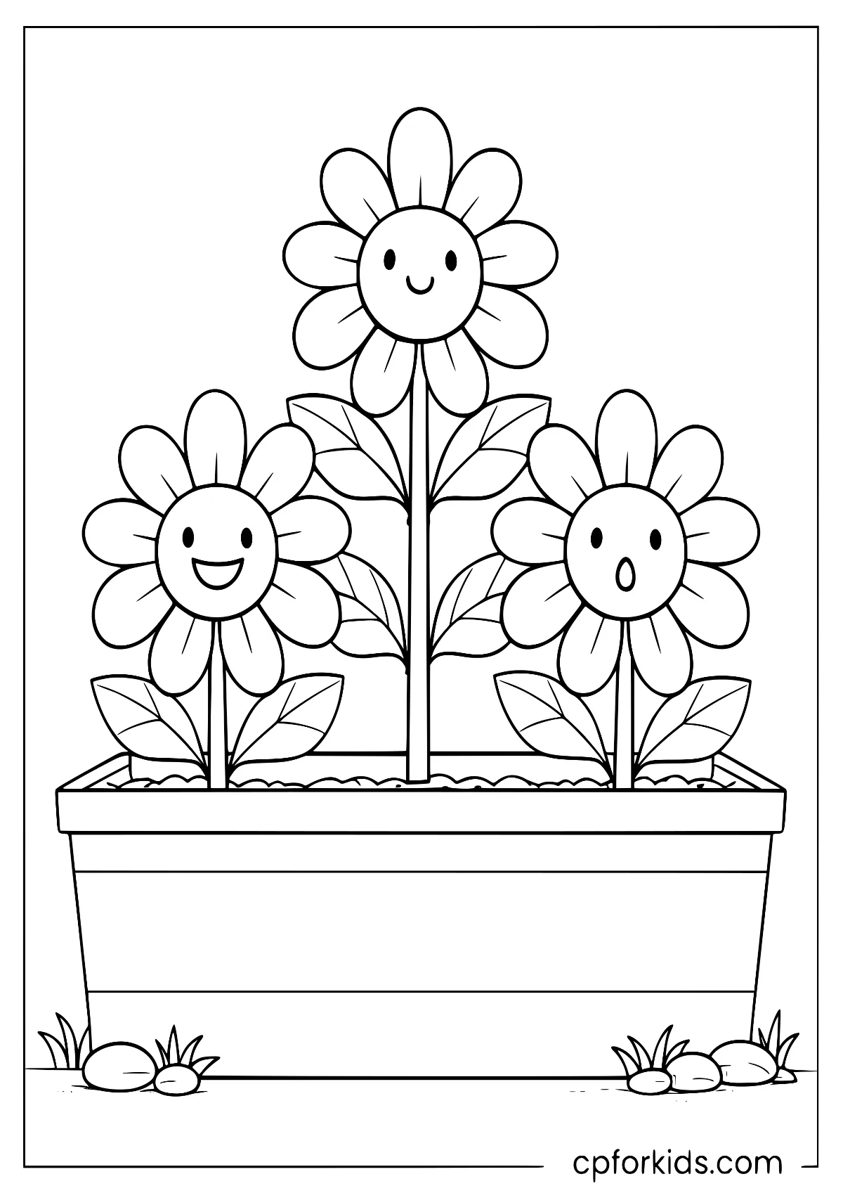Three smiling flowers in a rectangular planter