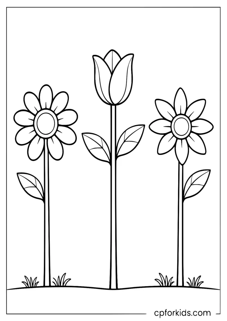 Three Simple Flowers In A Row Coloring Page