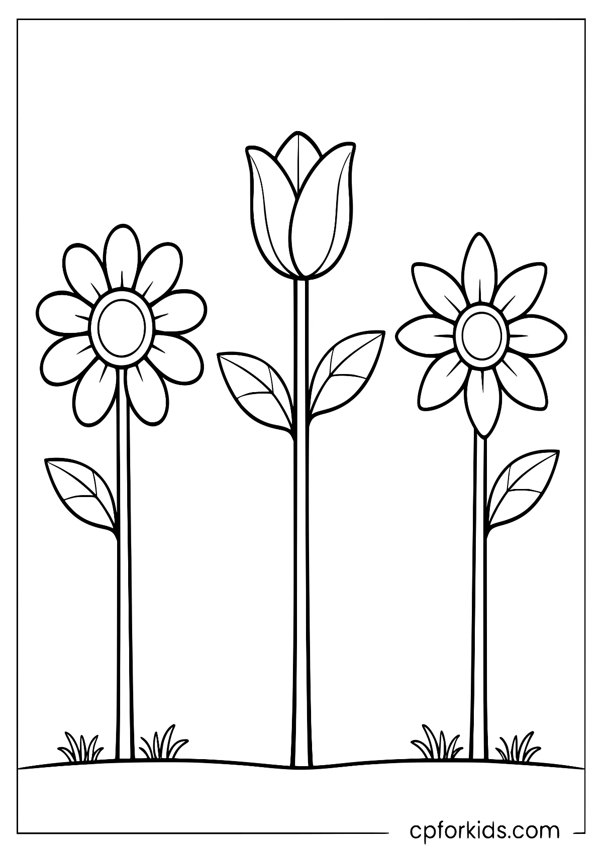 Three upright flowers including a central tulip