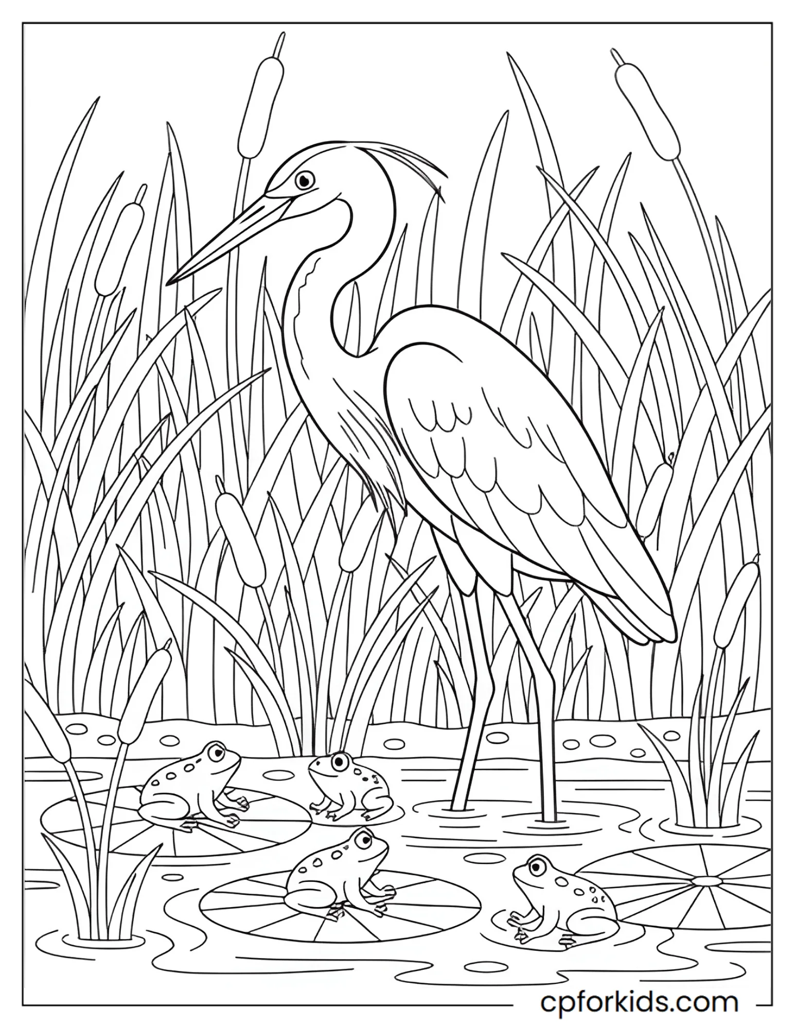 Frogs and lily pads in a wetland scene