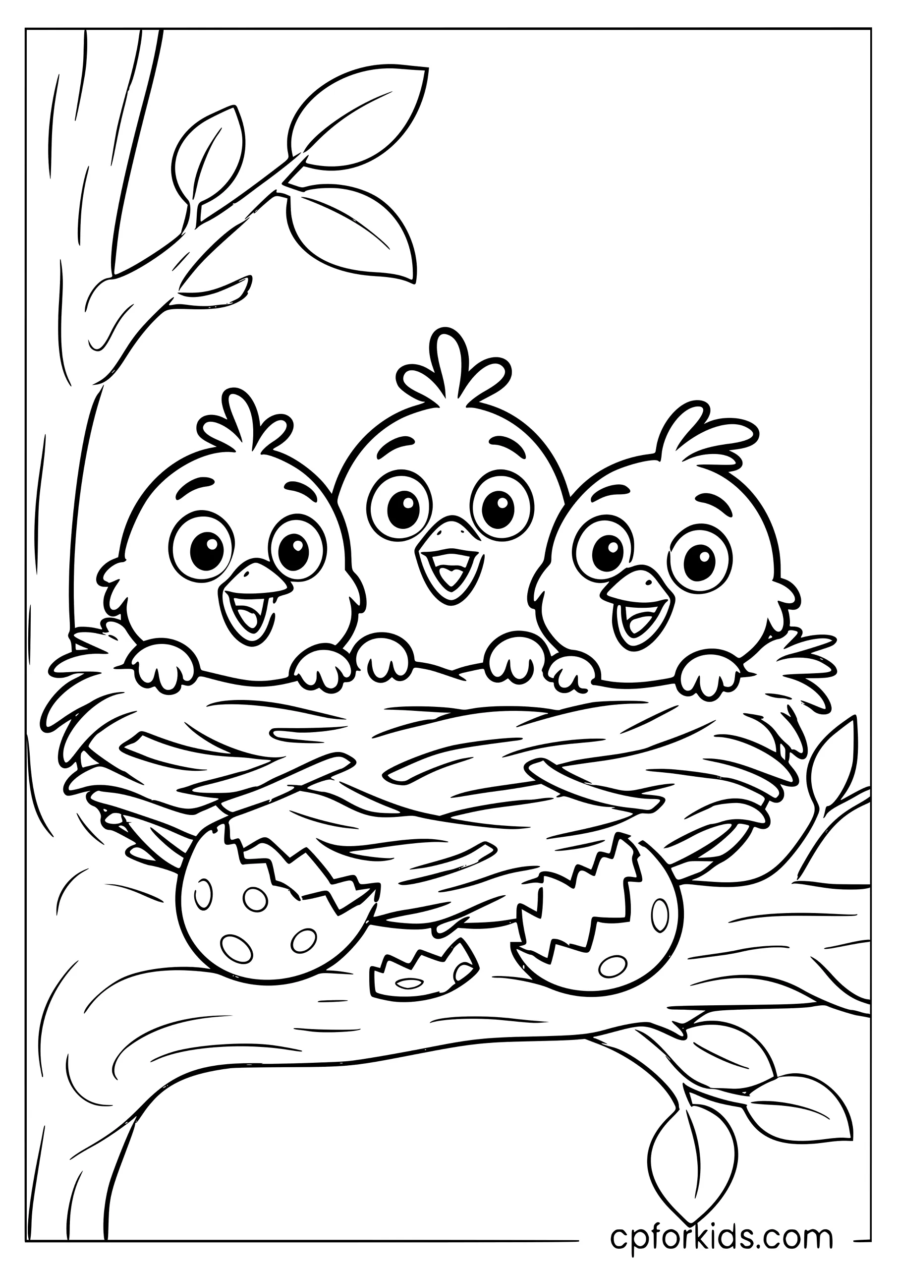 Baby Hatchlings Nest