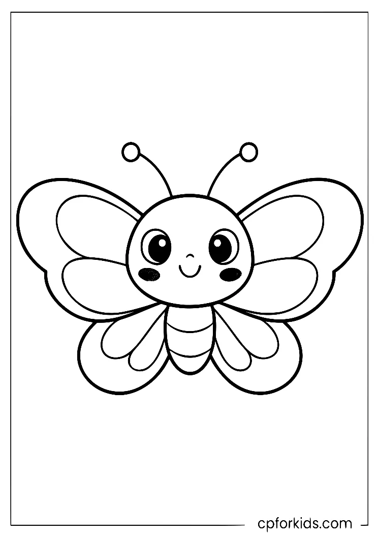 Small butterfly with a large head and rounded wings