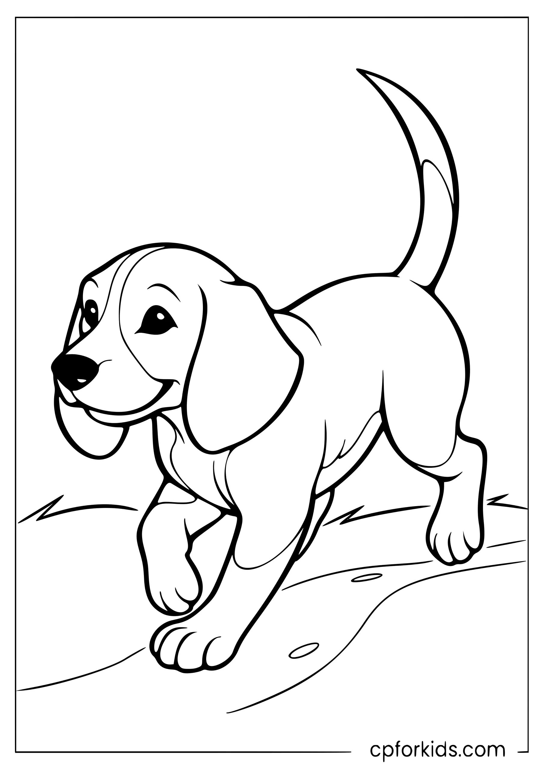 Beagle walking with its nose lowered along a trail