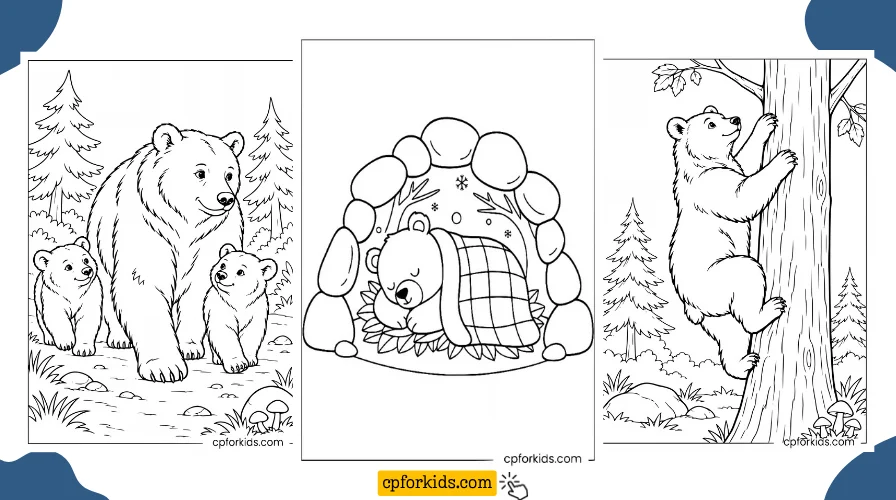 Bear Coloring Pages
