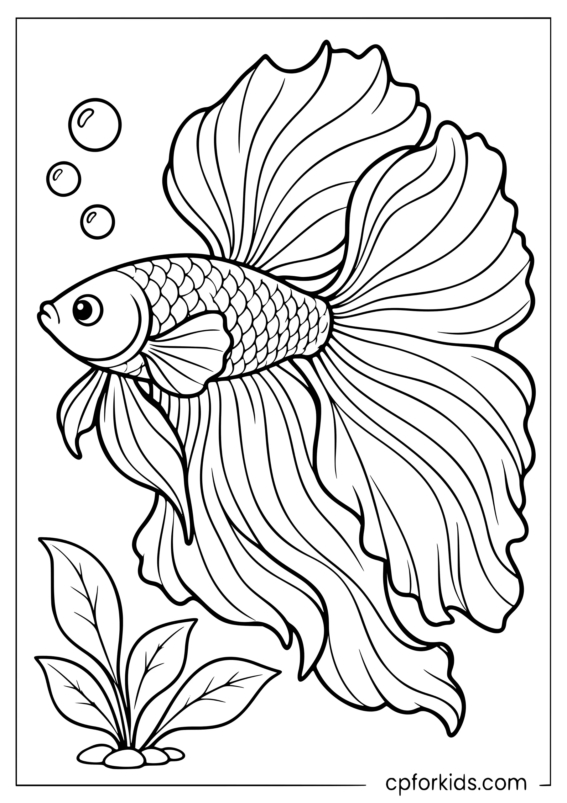 Betta fish with long flowing fins and bubbles
