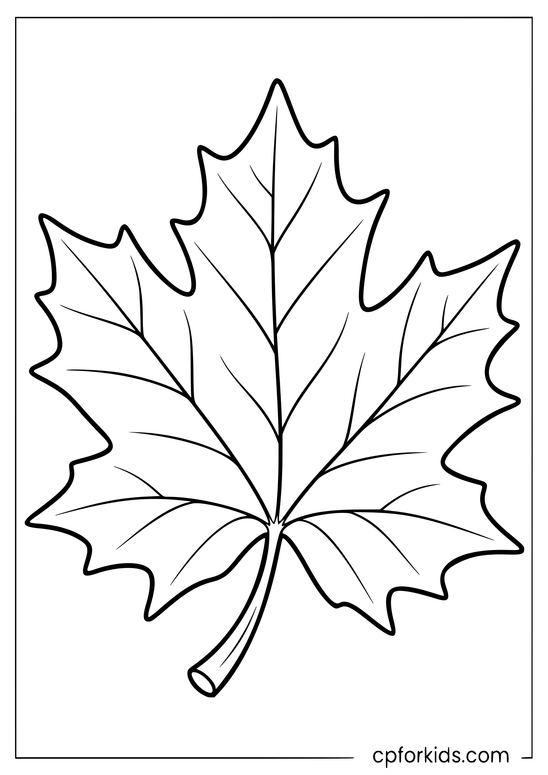 Large maple leaf with clean simple veins