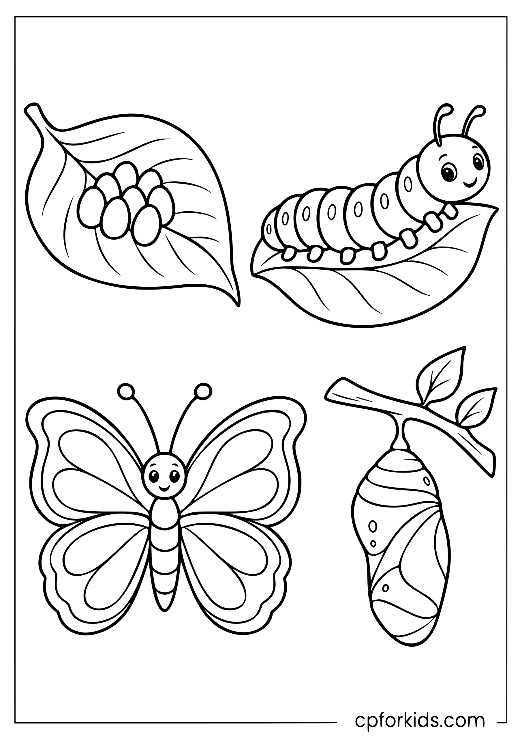 Butterfly eggs, caterpillar, chrysalis and adult connected by arrows