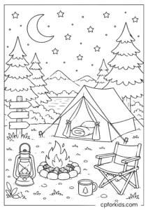 Summer camping scene under the stars