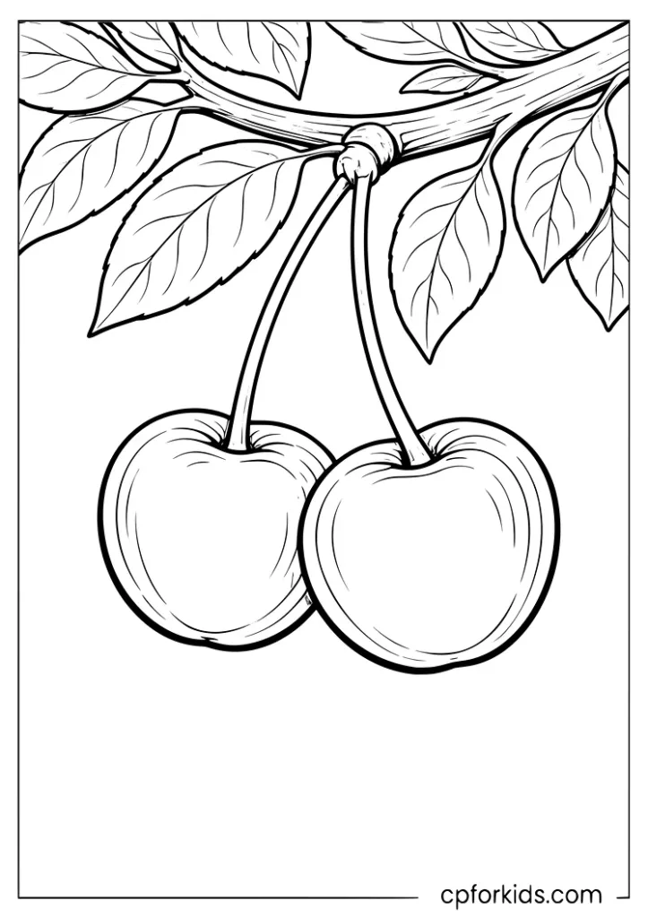 Cherries hanging from a branch coloring page