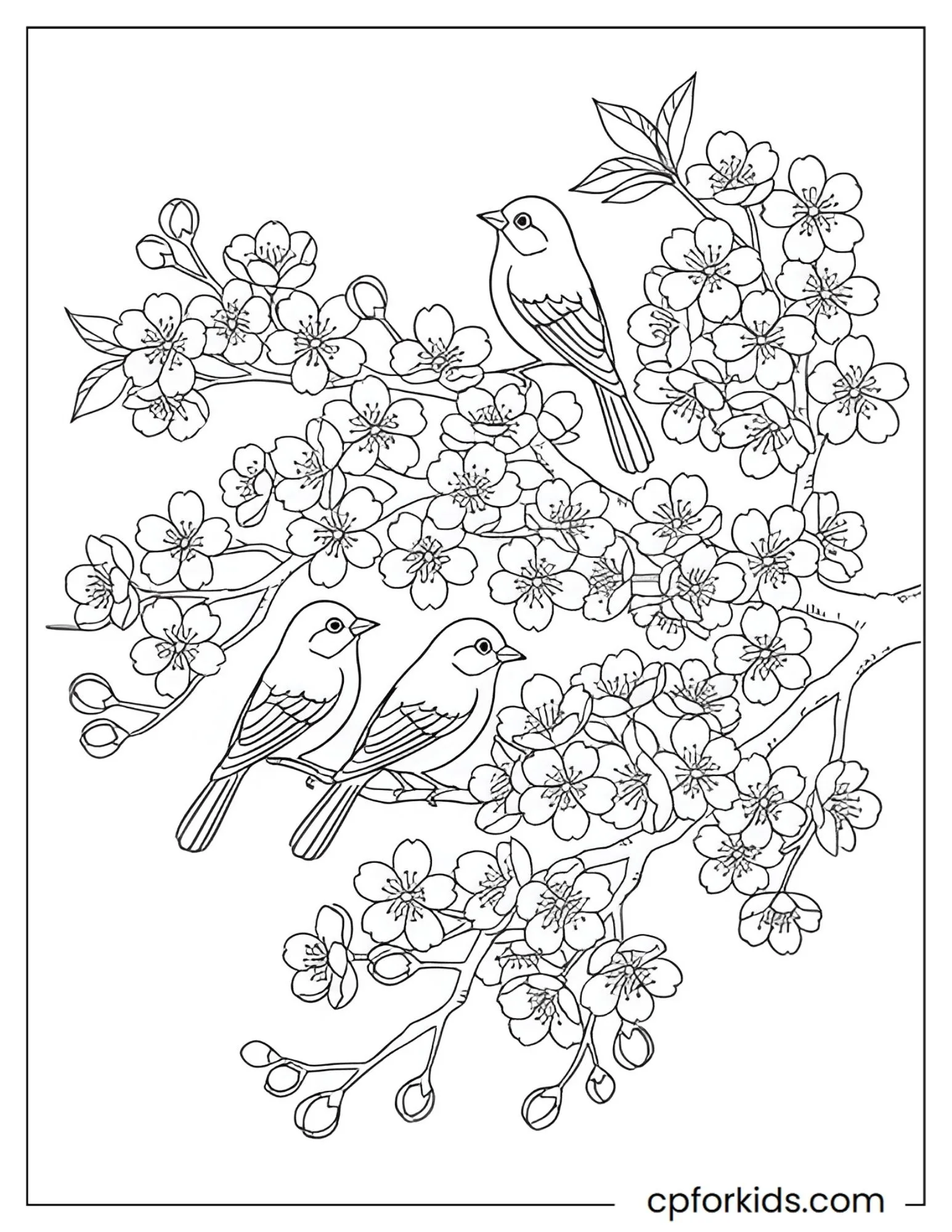 Cherry blossom branch with two spring birds