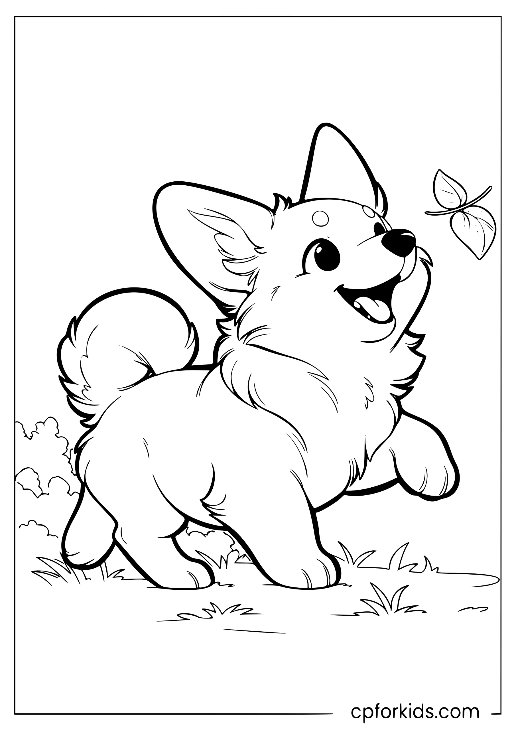 Corgi running across grass chasing a leaf