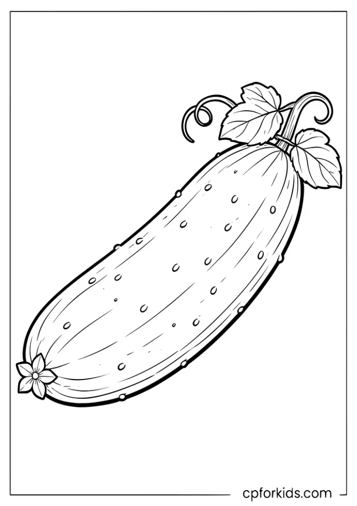 Simple outline of a cucumber vegetable coloring page for kids